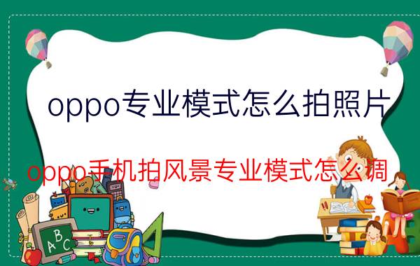 oppo专业模式怎么拍照片 oppo手机拍风景专业模式怎么调？